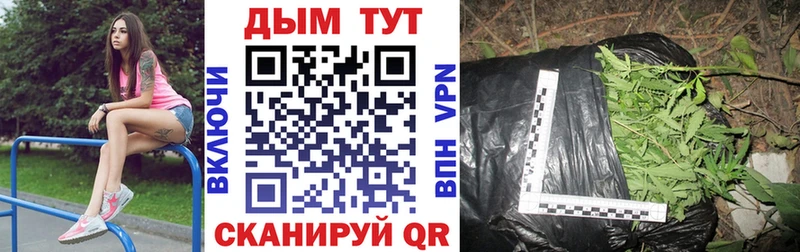 Бошки марихуана AK-47 Полярные Зори